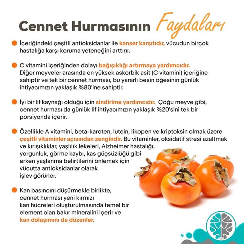 Cennet Hurmasının Faydaları 1