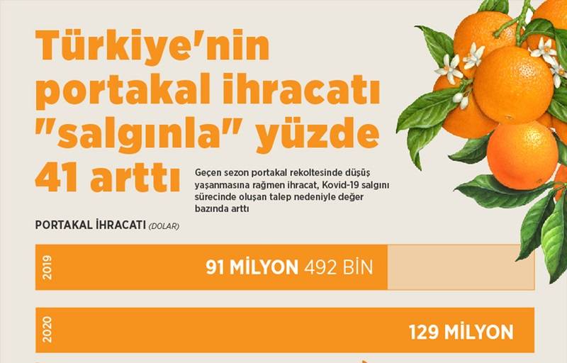 Türkiye'nin portakal ihracatı "salgınla" yüzde 41 arttı 1