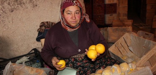 Adana Ticaret Borsası