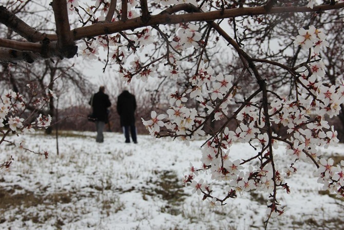 Meteoroloji'den 5 il için buzlanma ve don uyarısı