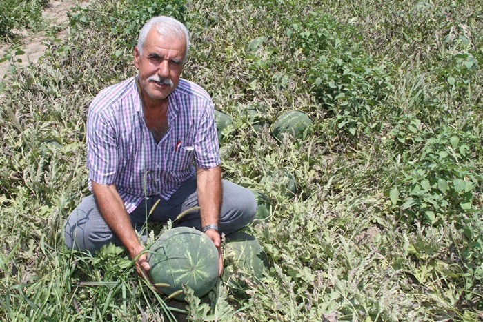 Çukurova'da üretici yoldan dertli 
