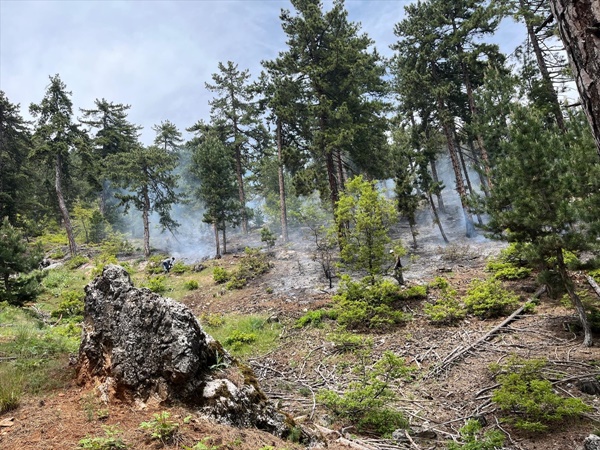 Adana'da çıkan orman yangını kontrol altına alındı
