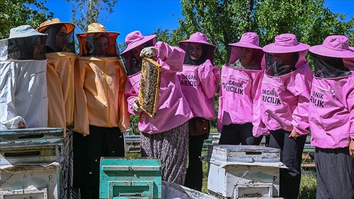 Pembe kıyafetli arıcılar, organik bal üretiminde söz sahibi olmak istiyor