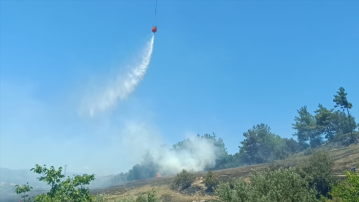 Adana'da çıkan anız yangını zeytinlik ve ormanlık alana sıçradı