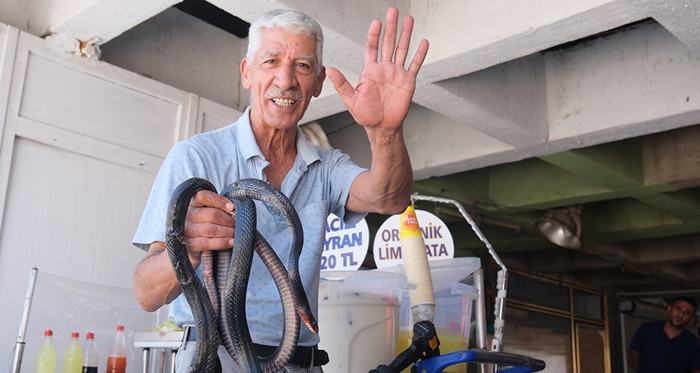 Koynunda beslediği yılanlar böyle ısırdı