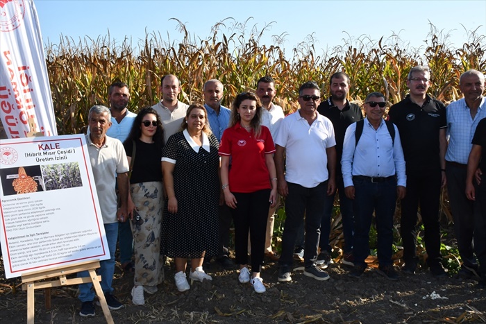 Adana'da kale cinsi mısırın tanıtımı amacıyla etkinlik düzenlendi