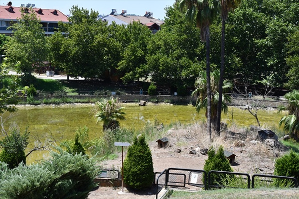 Göç yolundaki Adana yeniden "Kuş Cenneti"ne kavuşmak istiyor