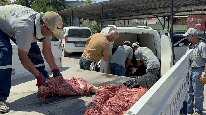 Adana'da 1,5 ton tek tırnaklı hayvan eti ele geçirildi