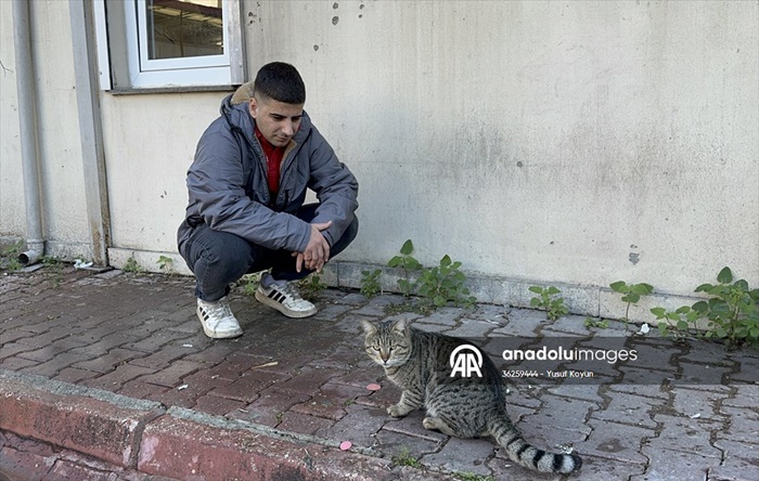 Adana'da kedinin, işçinin öğle yemeğini alıp kaçması kamerada