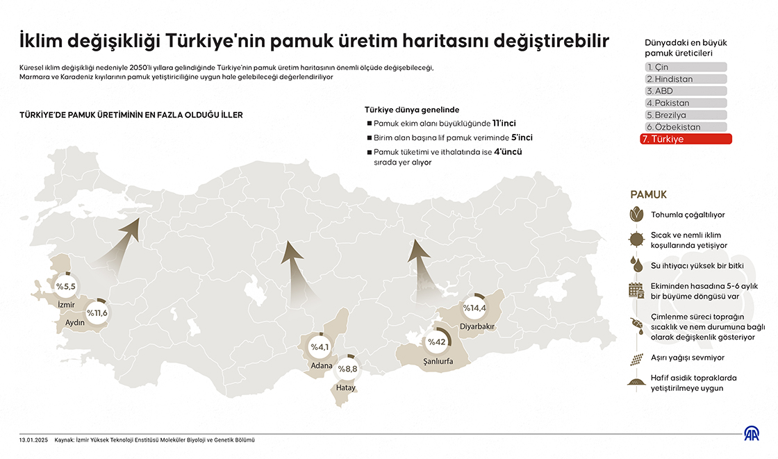 İklim değişikliği Türkiye'nin pamuk üretim haritasını değiştirebilir