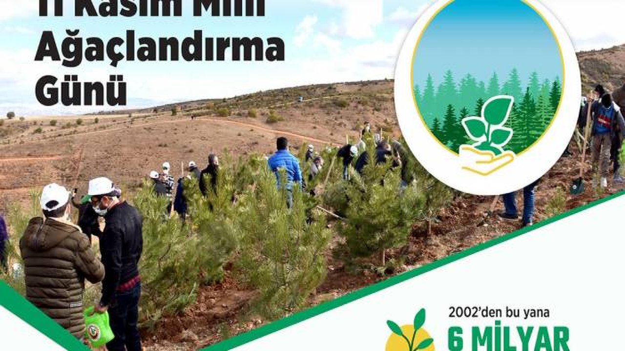 11 Kasım Milli Ağaçlandırma Günü