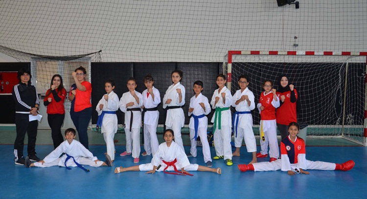 Minik ve Yıldız Karate İl Seçmeleri