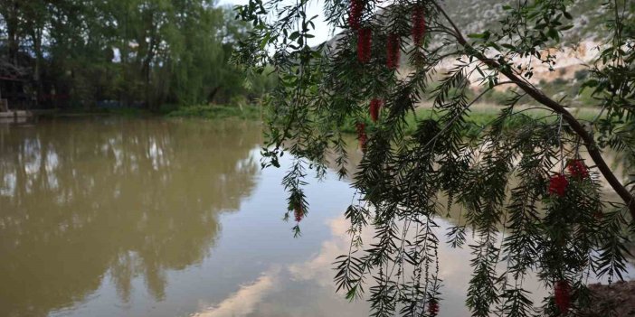Yağmurlarla birlikte su seviyesi arttı doğa coştu