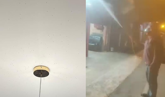 Büyükşehir belediyesi yetersiz kaldı vatandaş kendisi ilaçladı