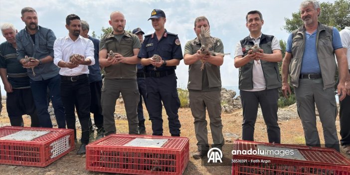 Adana'da 500 keklik doğaya salındı
