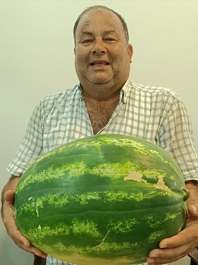 Kozan'da 24 kilo 634 gramlık karpuz üretildi