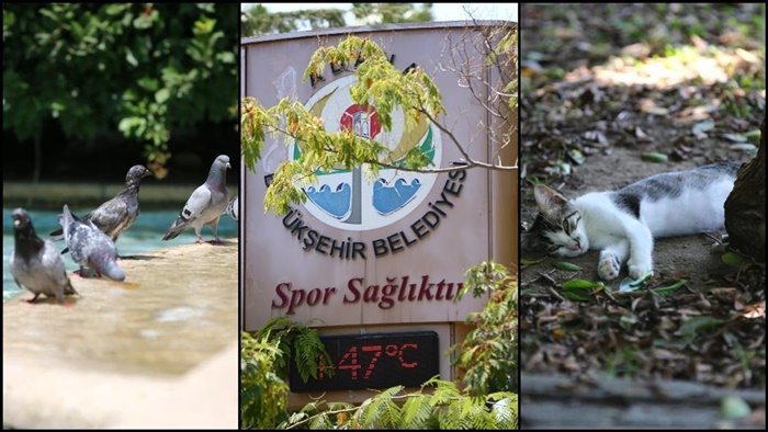 Doğu Akdeniz'de sıcak hava ve yüksek nem etkisini sürdürdü