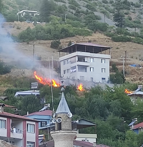 Adana'da çalılık alanda çıkan yangın söndürüldü