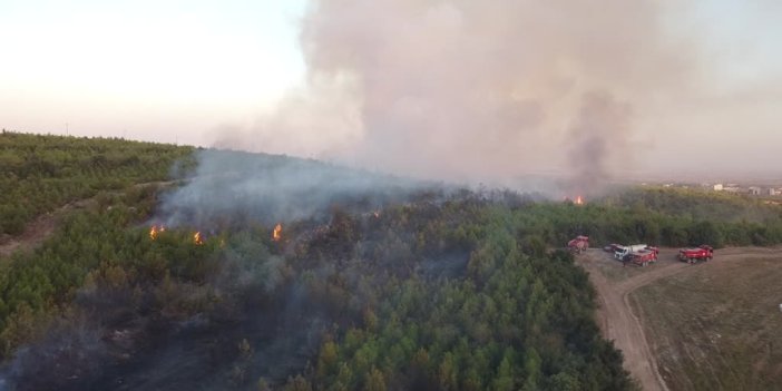 Osmaniye'de tarladan zeytinliğe sıçrayan yangına müdahale ediliyor