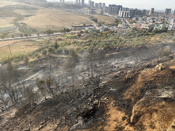 Adana'da ağaçlık ve çalılık alanda çıkan yangın söndürüldü