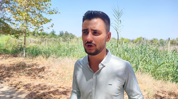 Çukurova Üniversitesi yerleşkesine domuzlar girdi, vatandaş havlayarak kovaladı