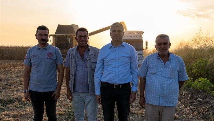 Adana'da mısırda 1 milyon 135 bin ton rekolte bekleniyor