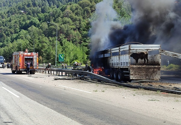 Adana'da büyükbaş hayvan yüklü tırda yangın çıktı
