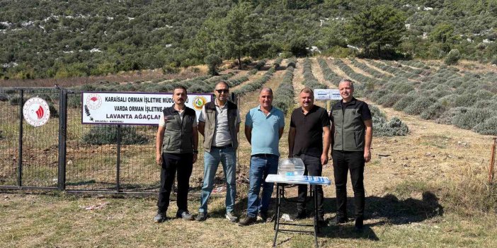 Bakımını yapan kullanım hakkını elde edecek
