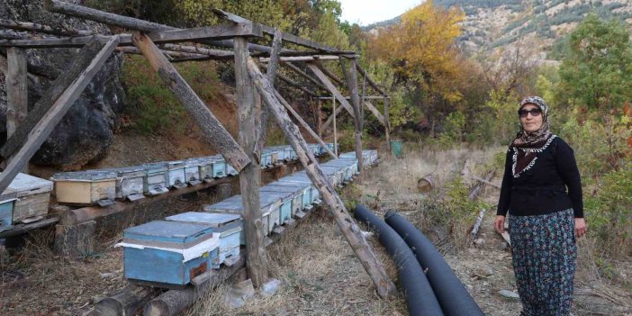 Adana’da sıcaklık düşmeyince arılar kışlama için kovanlara girmedi