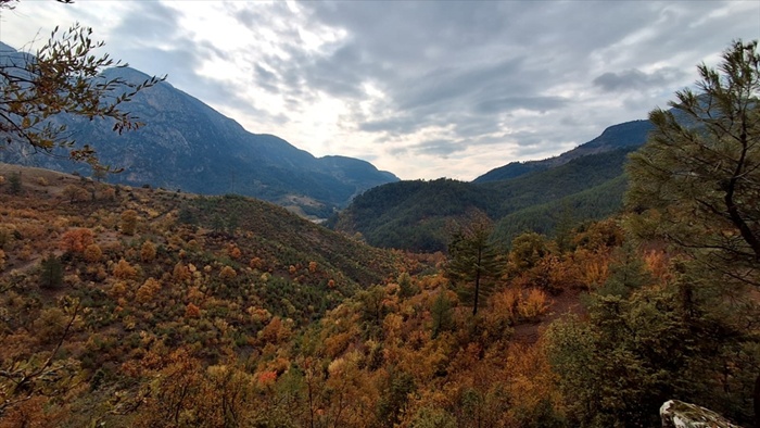Saimbeyli ilçesinde ormanlık alanlar sonbahar renklerine büründü