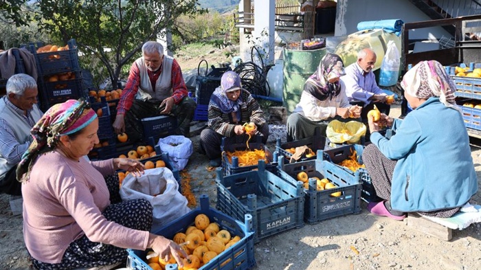 Adana'nın hurmalı köyü, açık fabrikaya dönüştü