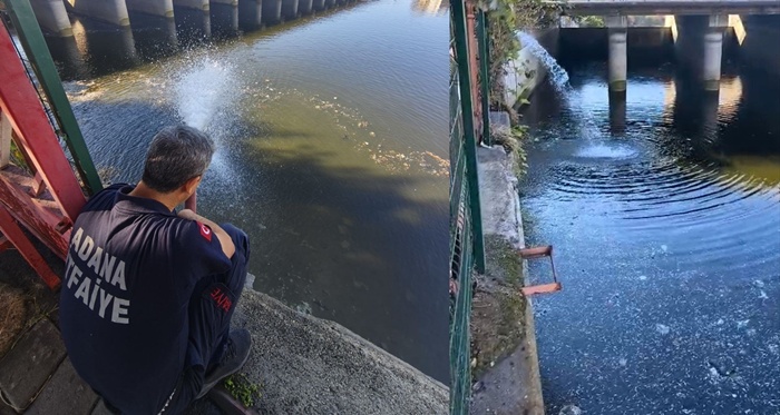 Kuraklık balıkları vurdu