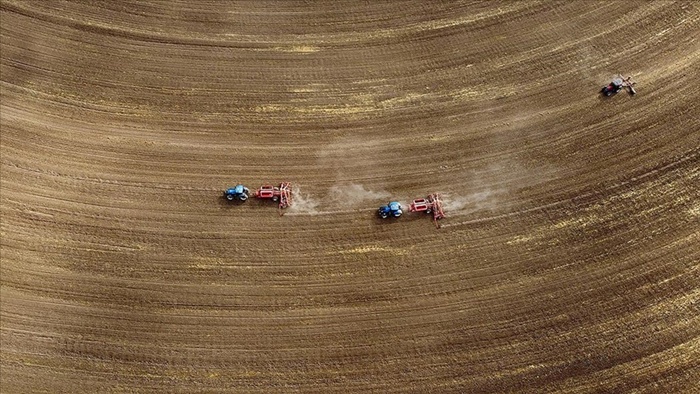 Tarım sayımının yüzde 90'ı tamamlandı, sonuçlar yılın ikinci yarısında açıklanacak