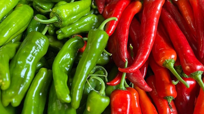 2025'teki ihracat şampiyonu biber oldu...