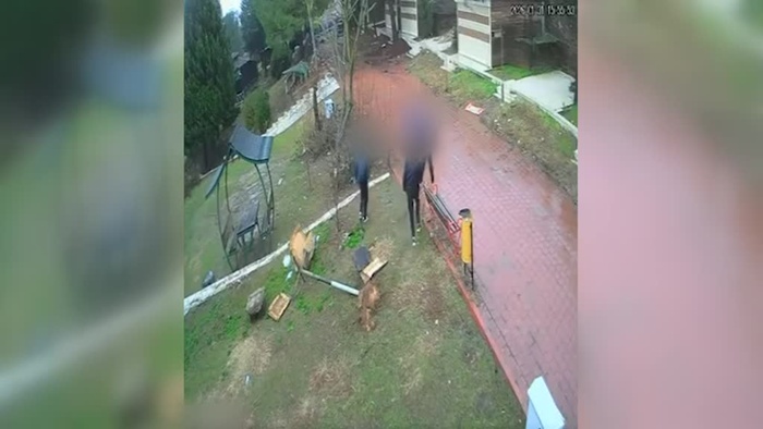 Adana'da kuş yuvasına zarar veren 4 çocuğa "ev hapsi" verildi