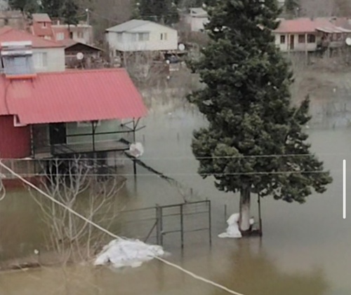 Adana'da köyü su bastı: Yollar kapandı, bir kamyon suya gömüldü