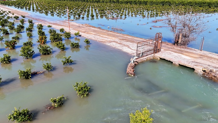 Adana'da sel suları tarım arazilerini sular altında bıraktı