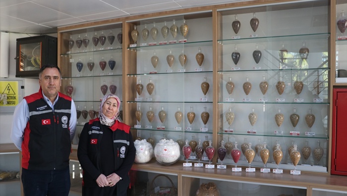 Adana'da geliştirilen pamuk, arpa ve buğday tohumları 13 ülkeye ihraç ediliyor