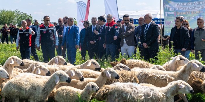 Kozan'da ıslah edilen mera kullanıma açıldı