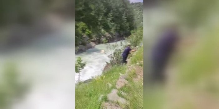 Adana'da serinlemek için çaya giren kişi kayboldu