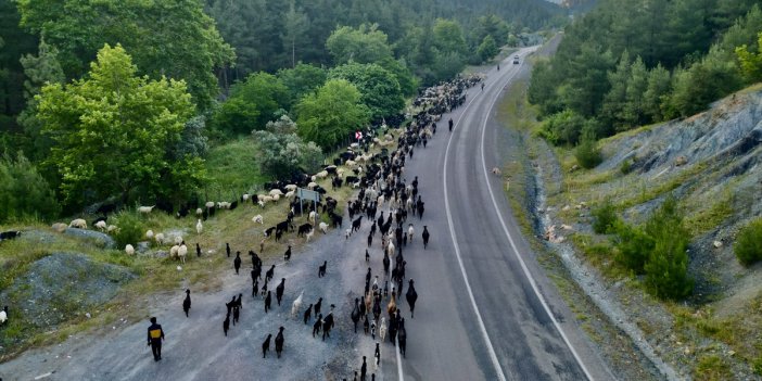 Kozanlı göçerlerin yayla yolculuğu başladı