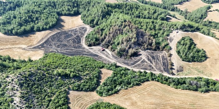 Adana'da park halindeki araçta çıkan yangın ormanlık alana sıçradı