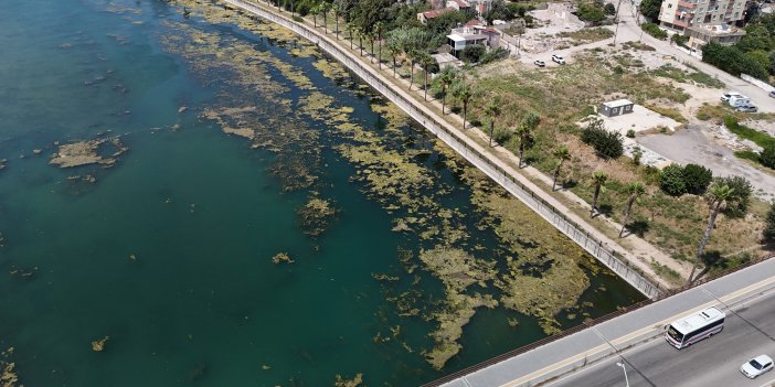 Seyhan Nehri kirliliğe teslim oldu, gönüllü genç sandalla temizliğe çıktı