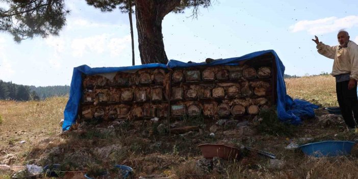Emekli imam, Toroslar’ın zirvesinde arılarla doğal hayatı seçti