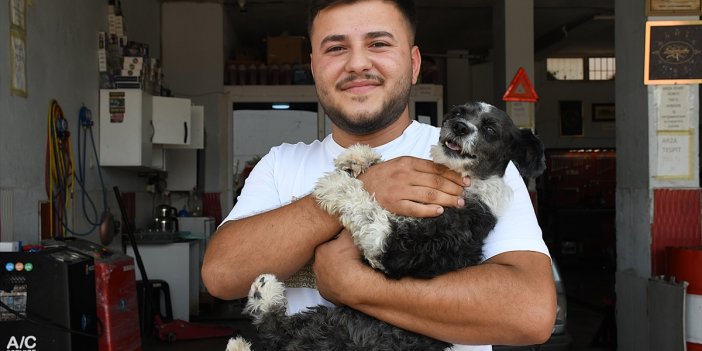 Adana'da boğazına cisim kaçan köpek esnafın müdahalesiyle kurtarıldı