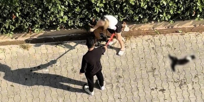 Adana'da sahipsiz kediyi öldüren köpeği ağızlıksız gezdiren kadına para cezası uygulandı