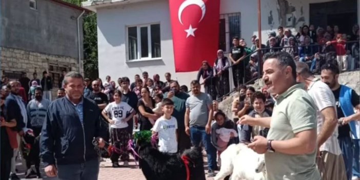 Mut'ta 'keçi güzellik yarışması' düzenlendi