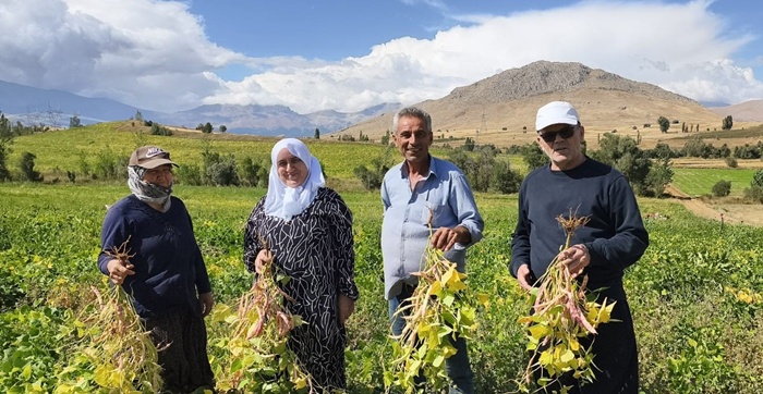 Coğrafi işaretli kuru fasulye hasadı başladı