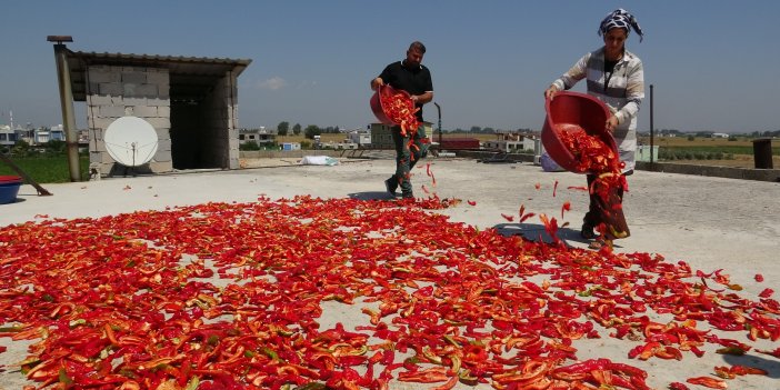 Kavurucu sıcakta devam eden acı mesaiyle birlikte damlar kırmızıya büründü