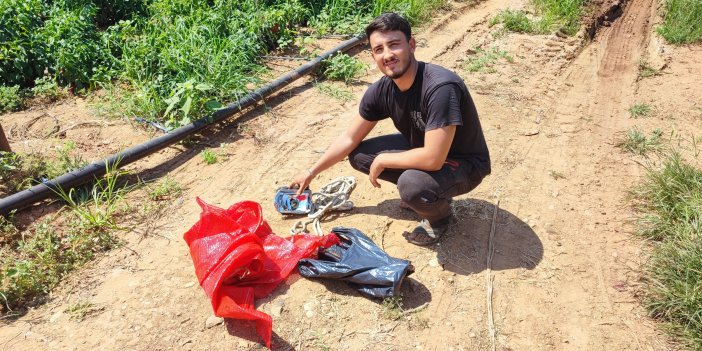 Salçalık biberi önce hırsızlar hasat etti